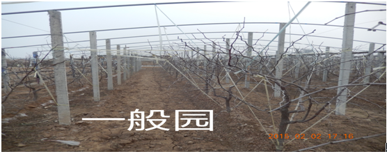 󶬗һ@www.fjgtc.cn